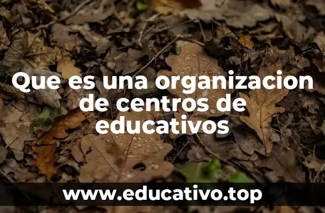 La estructura detrás de los centros escolares