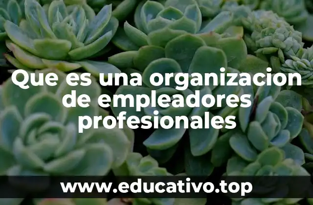 Que es una organizacion de empleadores profesionales