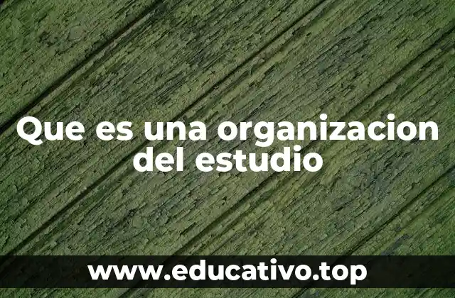 Que es una organizacion del estudio
