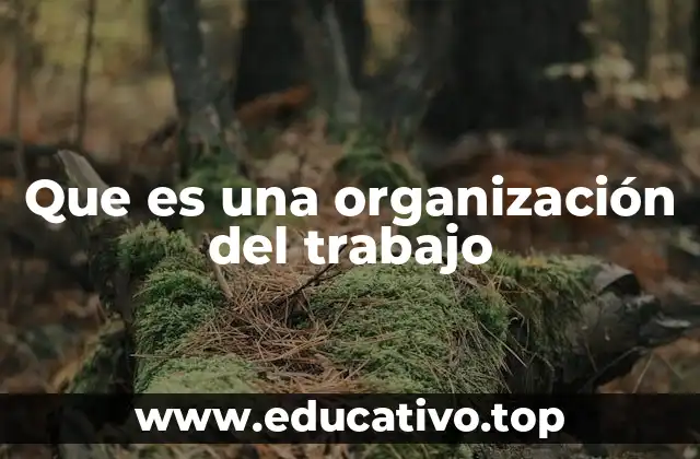 Que es una organización del trabajo