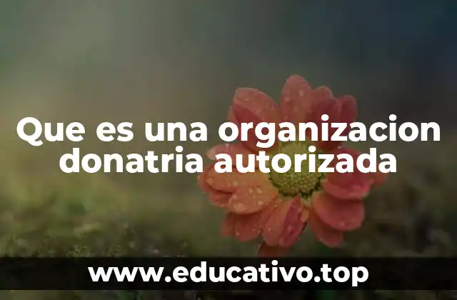 Que es una organizacion donatria autorizada