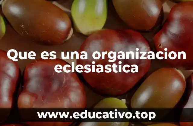 Que es una organizacion eclesiastica