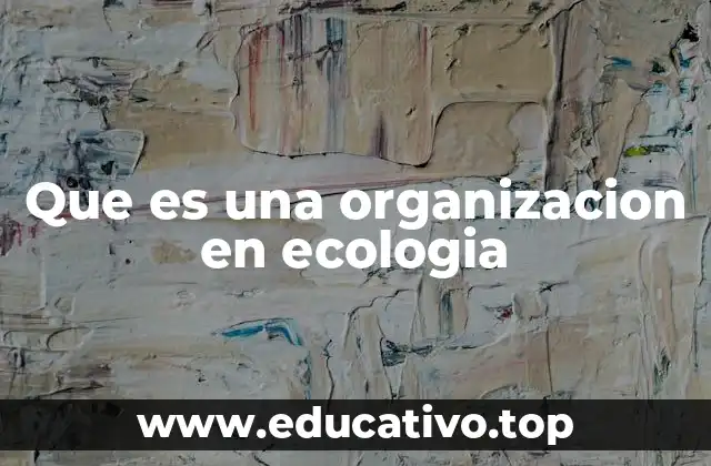 Que es una organizacion en ecologia