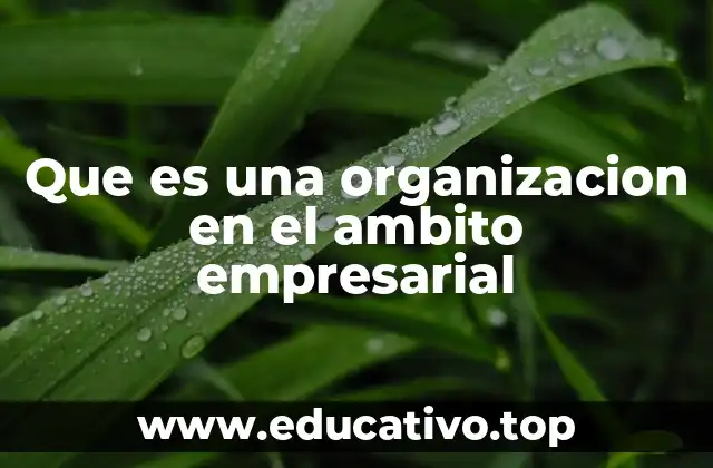 Que es una organizacion en el ambito empresarial