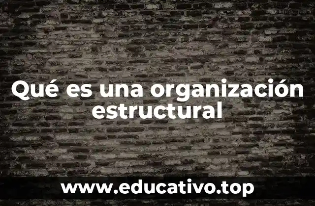 Qué es una organización estructural
