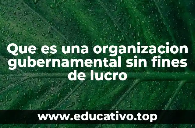 Que es una organizacion gubernamental sin fines de lucro