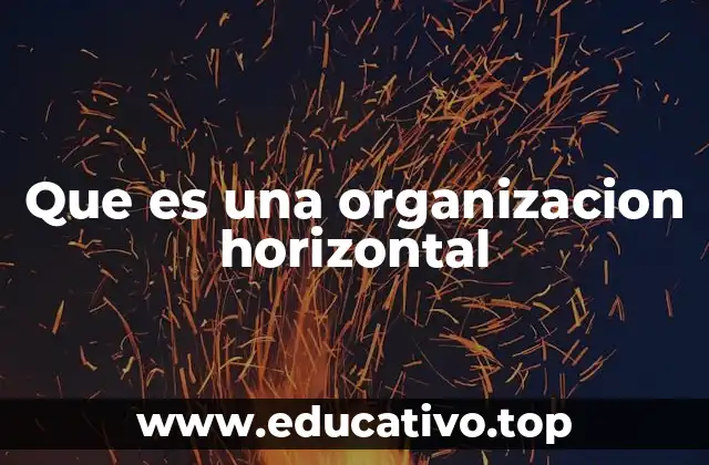 Que es una organizacion horizontal