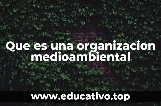 El papel de las entidades ambientales en la sociedad