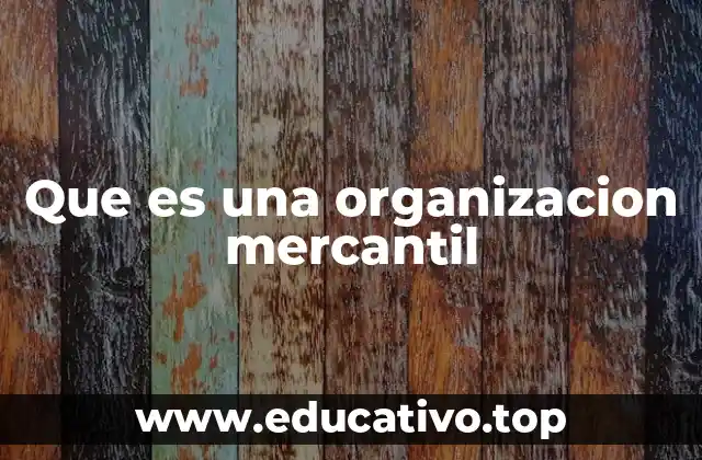Que es una organizacion mercantil