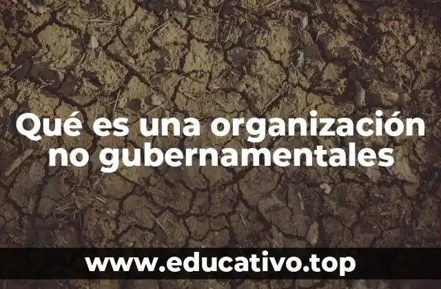 Qué es una organización no gubernamentales