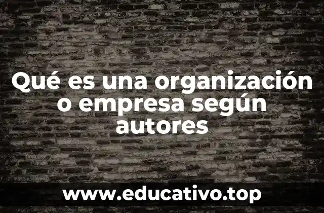 La visión académica de las organizaciones como sistemas sociales