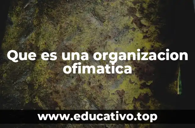 Que es una organizacion ofimatica
