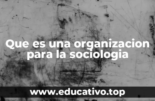 La organización como sistema social