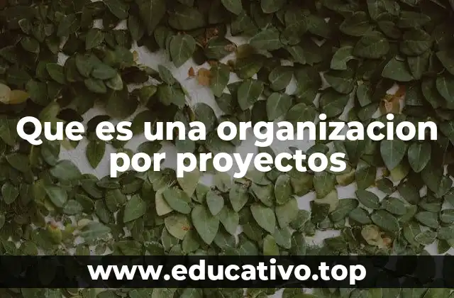 Que es una organizacion por proyectos