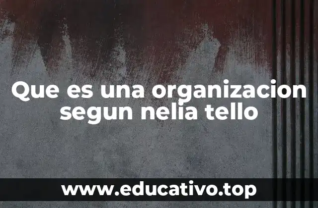 Que es una organizacion segun nelia tello