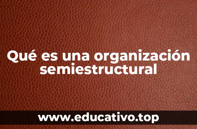 Qué es una organización semiestructural