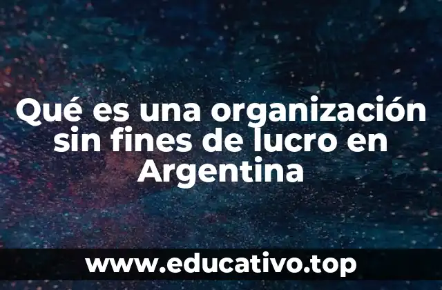 Qué es una organización sin fines de lucro en Argentina