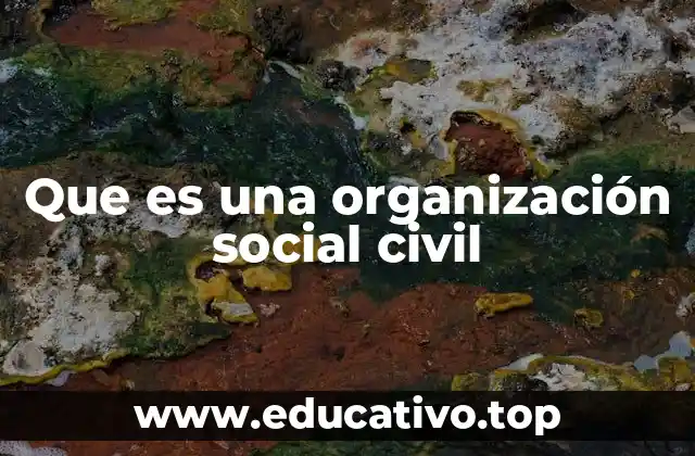 Que es una organización social civil