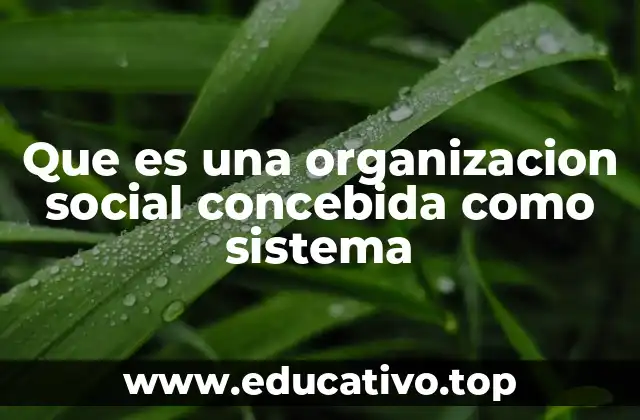 Que es una organizacion social concebida como sistema