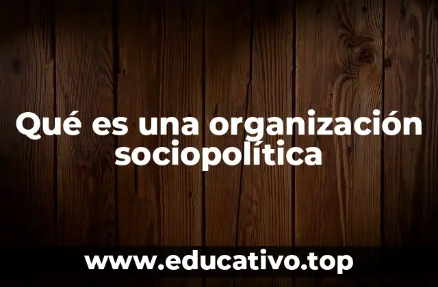 Qué es una organización sociopolítica