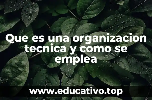 Que es una organizacion tecnica y como se emplea
