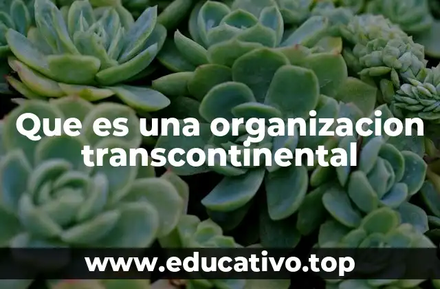 Que es una organizacion transcontinental