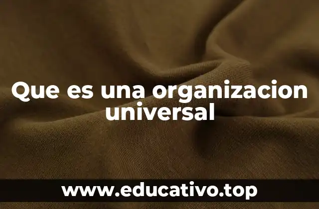 Que es una organizacion universal