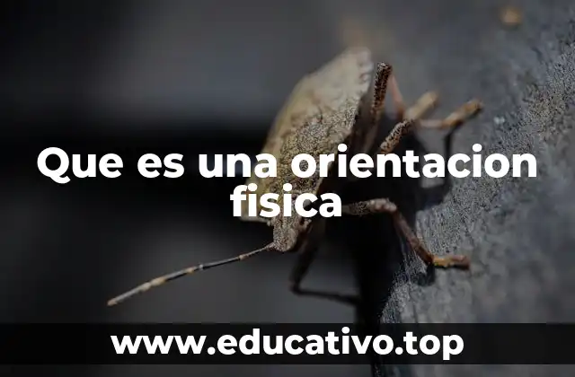 Que es una orientacion fisica