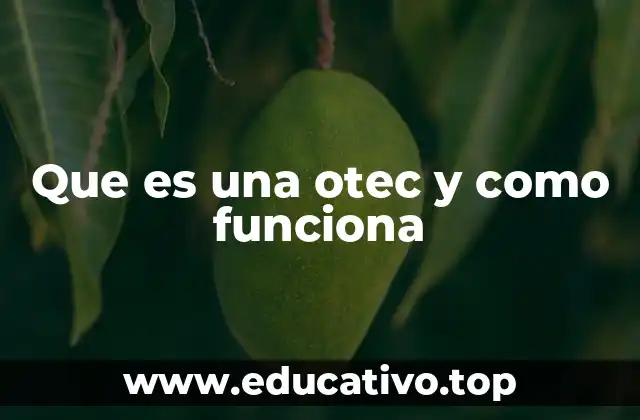 Que es una otec y como funciona