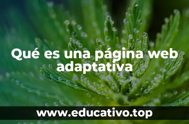 Qué es una página web adaptativa
