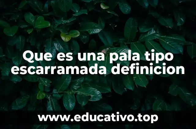Que es una pala tipo escarramada definicion