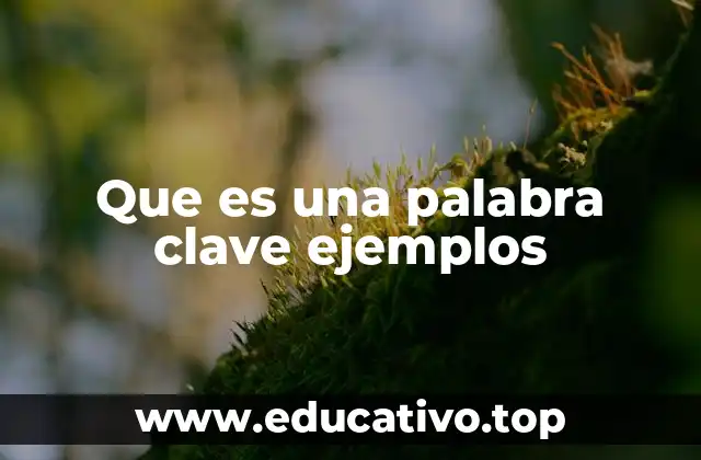 Que es una palabra clave ejemplos