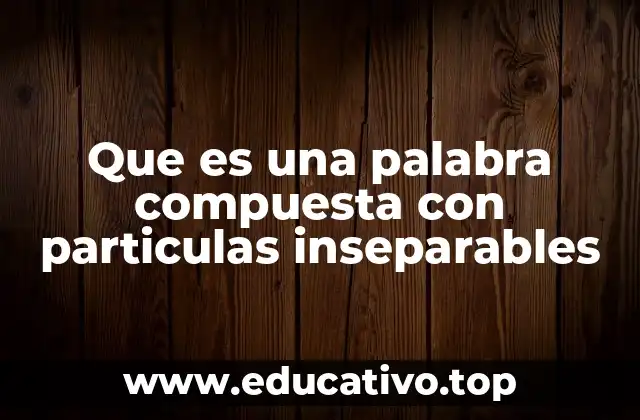 Que es una palabra compuesta con particulas inseparables