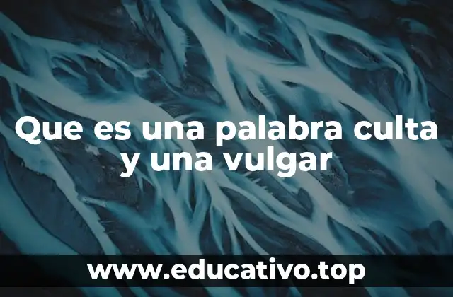 Que es una palabra culta y una vulgar