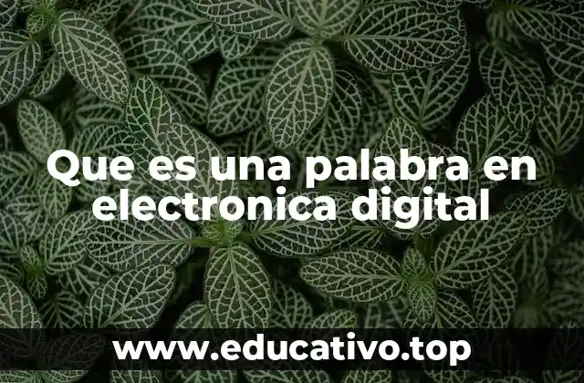 Que es una palabra en electronica digital