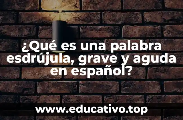 ¿Qué es una palabra esdrújula, grave y aguda en español?