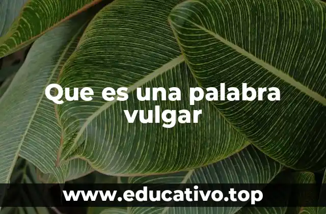 Que es una palabra vulgar