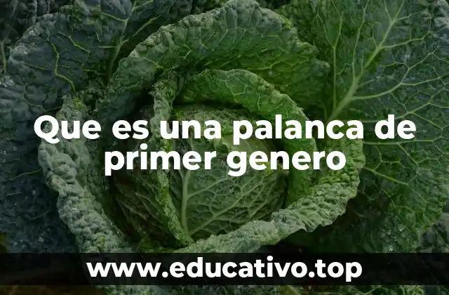 Que es una palanca de primer genero