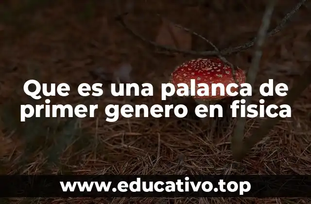 Cómo funciona una palanca de primer género