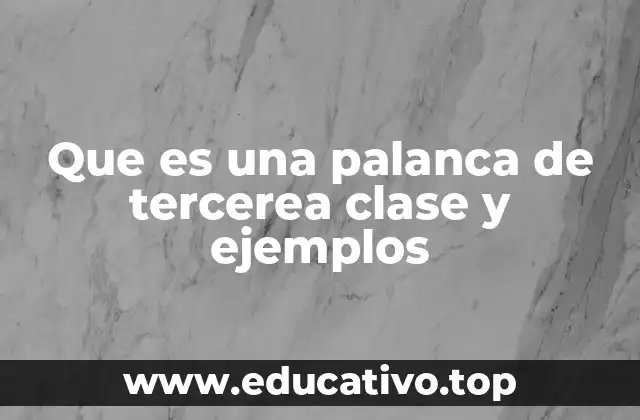 Que es una palanca de tercerea clase y ejemplos