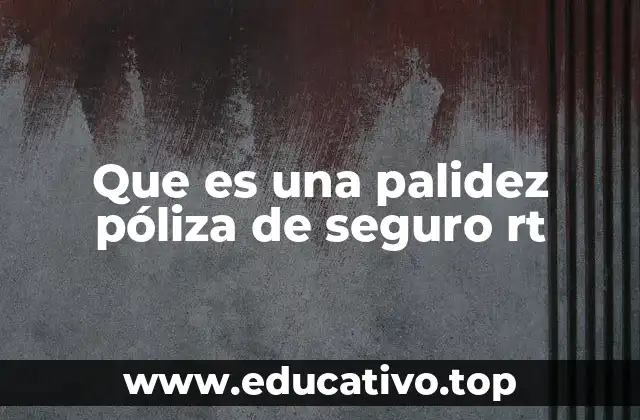 Que es una palidez póliza de seguro rt