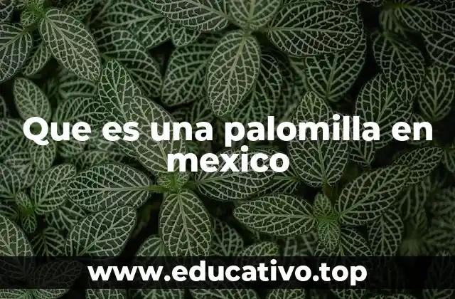 Que es una palomilla en mexico