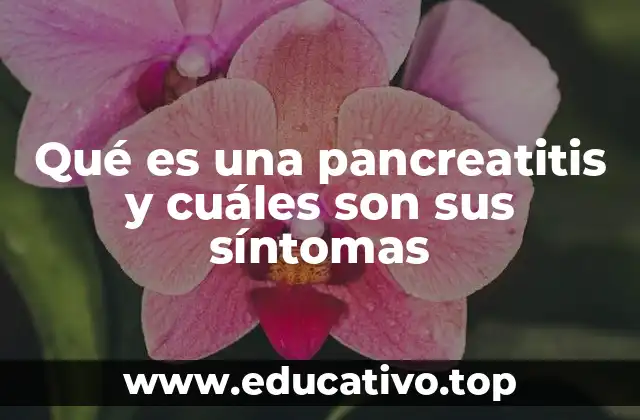 Qué es una pancreatitis y cuáles son sus síntomas