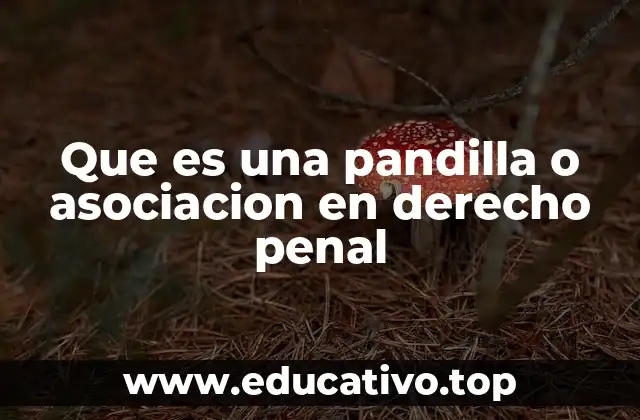 Que es una pandilla o asociacion en derecho penal