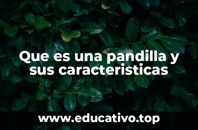 Que es una pandilla y sus caracteristicas