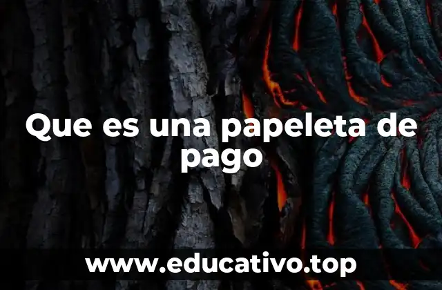 Que es una papeleta de pago