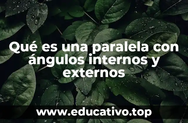 Qué es una paralela con ángulos internos y externos