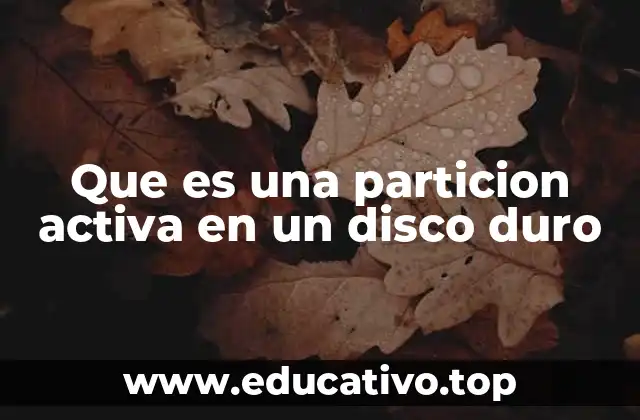 Que es una particion activa en un disco duro
