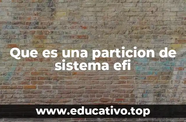 Que es una particion de sistema efi