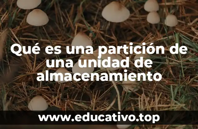Qué es una partición de una unidad de almacenamiento
